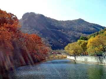 新澳天天开奖资料大全旅游团，健康水设备